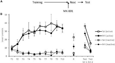 On the Resistance to Relapse to Cocaine-Seeking Following Impairment of Instrumental Cocaine Memory Reconsolidation